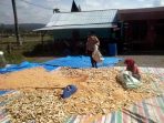IMG-20250217-WA0098