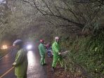 IMG-20250331-WA0071